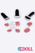 Resin Teeth Set - Image 2
