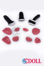 Resin Teeth Set